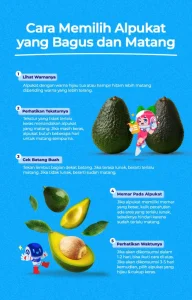 Cara Memilih Alpukat Yang Sudah Matang Dan Bagus Panduan Lengkap Untuk Pecinta Alpukat