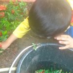 Cara Mengajarkan Anak Cara Menanam Bunga Di Halaman Panduan Lengkap Untuk Petualangan Berkebun Yang Edukatif