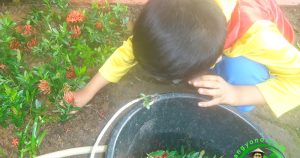 Cara Mengajarkan Anak Cara Menanam Bunga Di Halaman Panduan Lengkap Untuk Petualangan Berkebun Yang Edukatif
