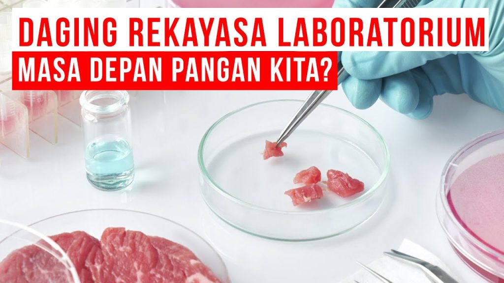 Masa Depan Pangan Teknologi Pembuatan Daging Buatan Di Laboratorium E28093 Revolusi Protein Dari Bioreaktor