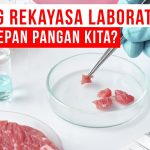 Masa Depan Pangan Teknologi Pembuatan Daging Buatan Di Laboratorium E28093 Revolusi Protein Dari Bioreaktor